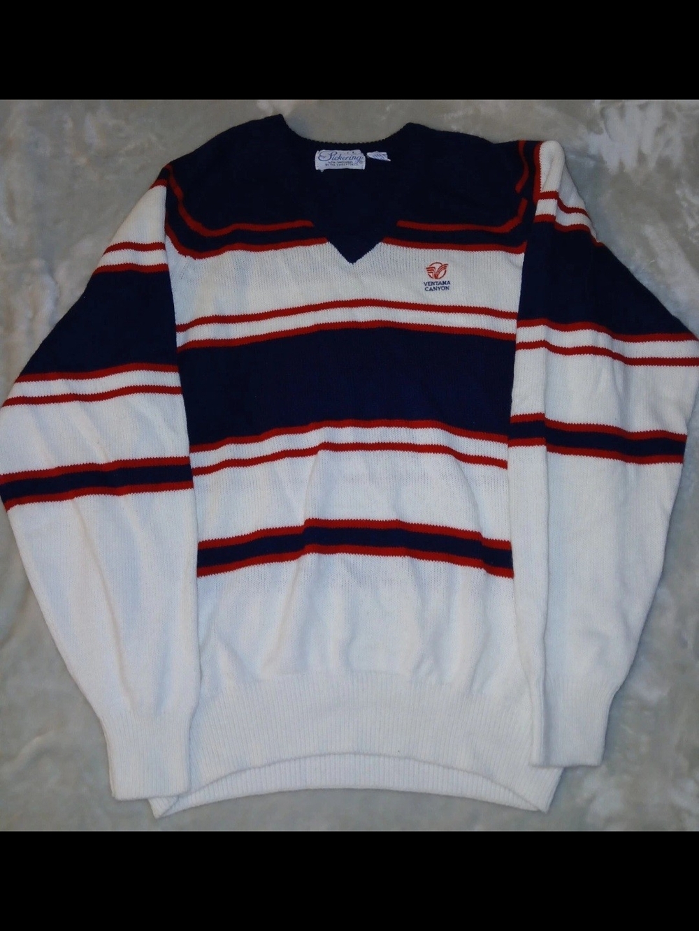 Vintage Pickering Men’s L Striped V-Neck Knit Pullover Sweater Ventana Canyon
